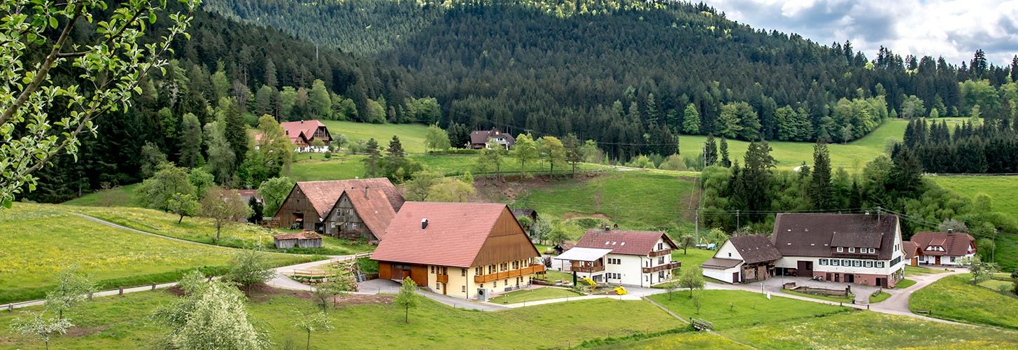 Haus und Hof - Ferienwohnungen Baiersbronn