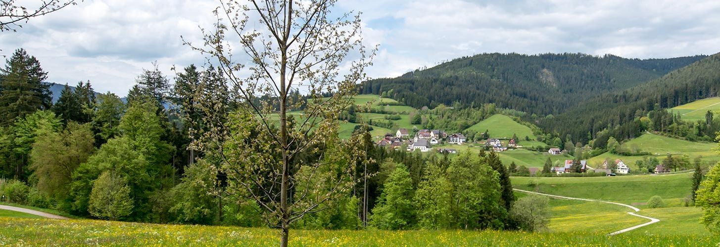 Schöne Umgebung mit Ausflugsmöglichkeiten